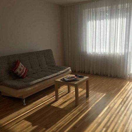 Welcoming Apartment Anykščiai エクステリア 写真